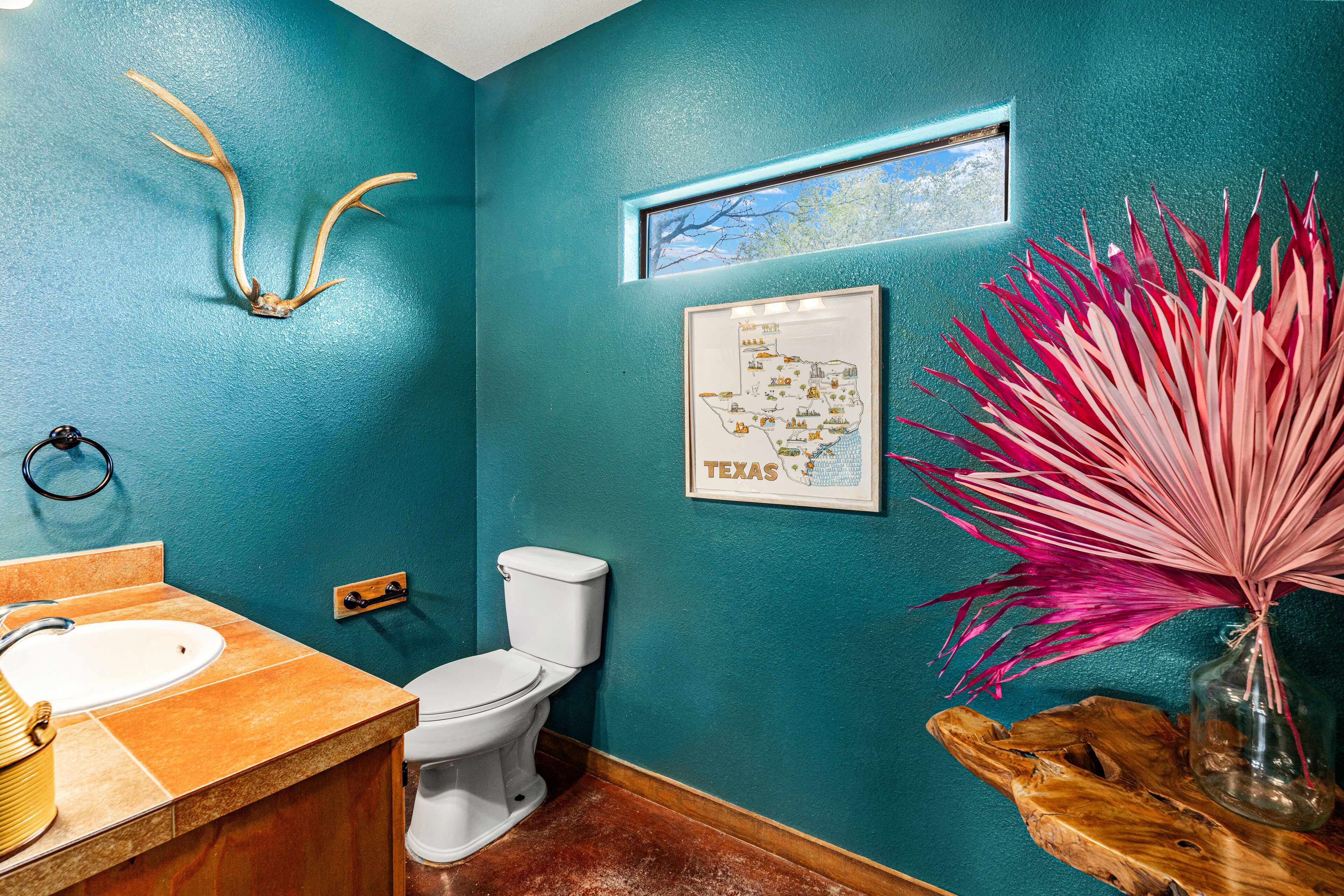 A bathroom with a teal wall, a white toilet, a sink with a wooden countertop, a framed map of Texas, and a decorative plant.