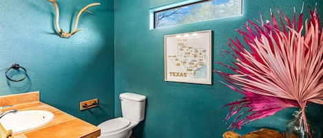 A bathroom with a teal wall, a white toilet, a sink with a wooden countertop, a framed map of Texas, and a decorative plant.