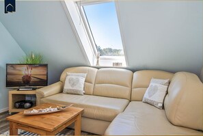 Televisión, reproductor de DVD, estéreo