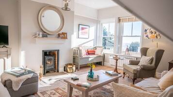 TV, fireplace, books