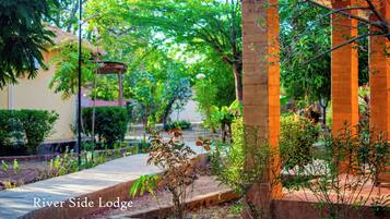 Dobbeltrom – junior | Terrasse/patio