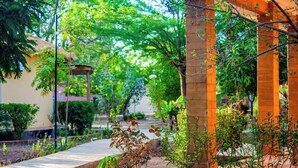 Junior Double Room | Terrace/patio - Riverside Lodge Bansang (ITC)
