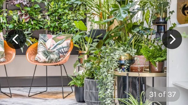 Une pièce agrémentée de diverses plantes en pot, d’un mur à rayures noires et blanches et d’une petite table sur laquelle est posé un objet décoratif.