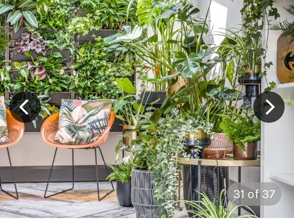 Áreas de la propiedad