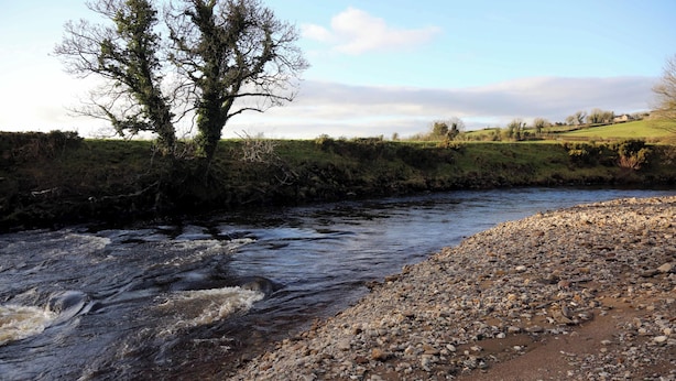 A river with a rocky bank and a tree in the foreground.