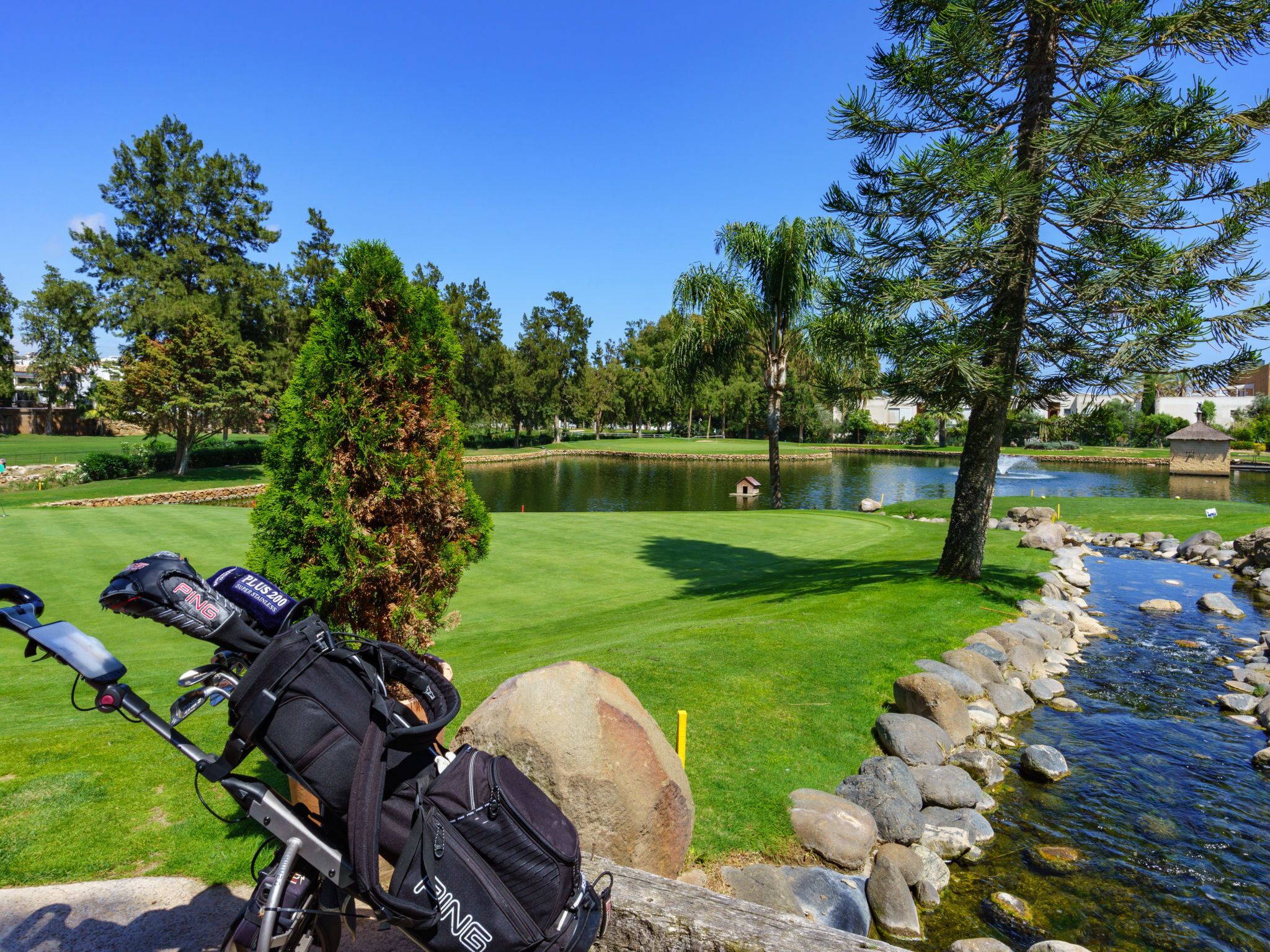 A golf course with a pond, trees, and a clear sky.