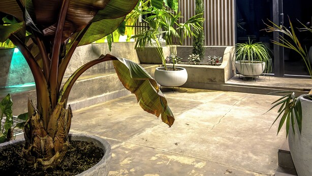 An outdoor area with potted plants and a modern building in the background. - Soothing 4-bedroom house with WiFi in Medellín (Medellín)
