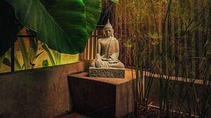 A serene outdoor area with a Buddha statue, large green leaves, and bamboo plants. - Soothing 4-bedroom house with WiFi in Medellín (Medellín)
