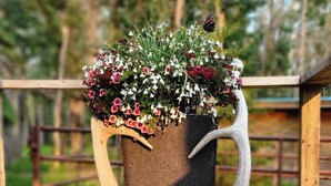 Een plantenbak met een opvallend ontwerp van gewei, gevuld met kleurrijke bloemen, geplaatst op een houten terras.