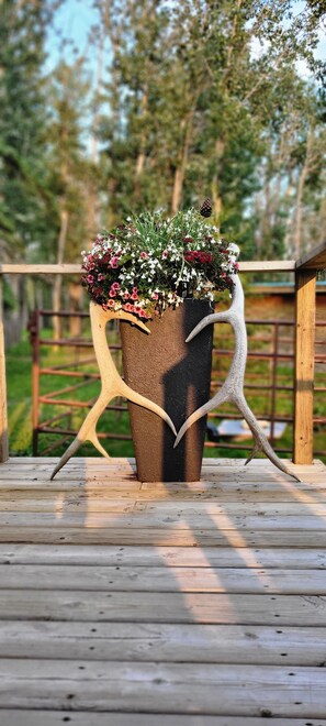 Property grounds - Cozy Country Escape: Pet-Friendly Cabin with Ski & Snowshoe Trails (Rocky Mountain House)