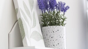 Detalle del interior