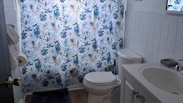 Hair dryer, towels, soap, shampoo