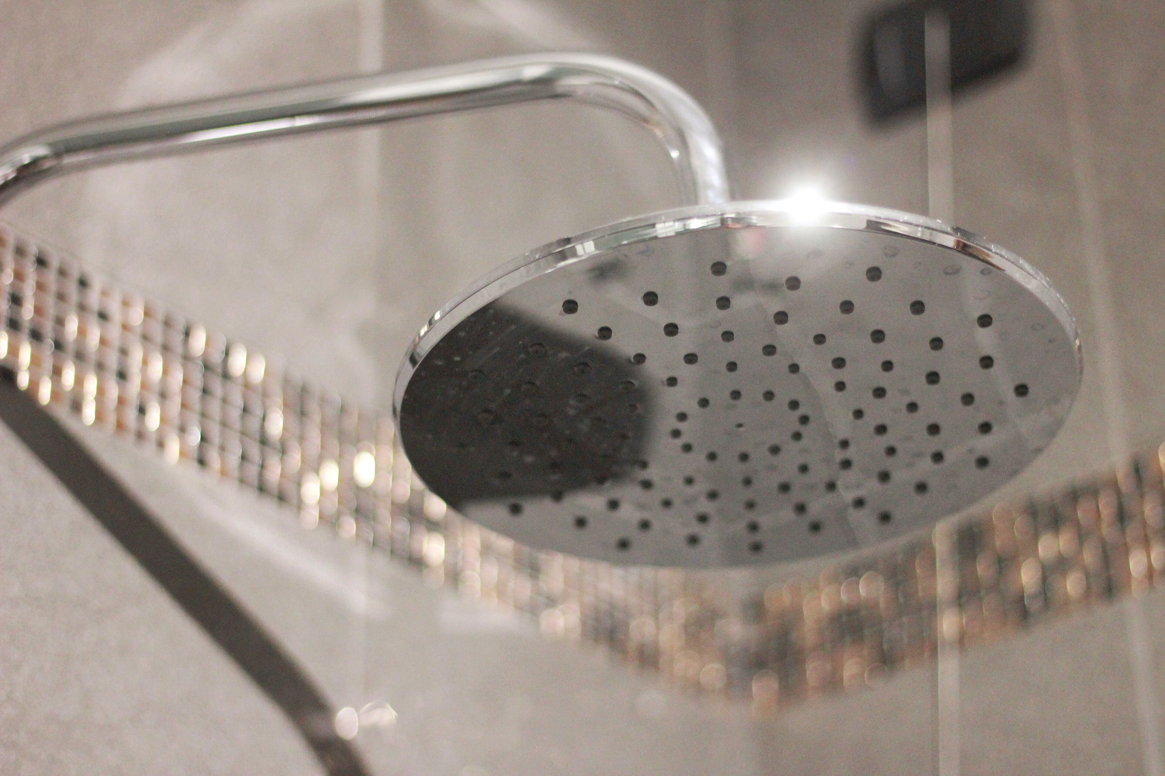 Soffione della doccia rimovibile