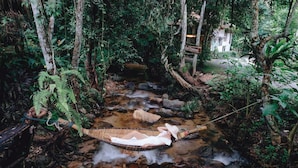 A hammock over a stream in a forested area with a sign indicating a 'Bamboo Terrace'. - My Cottage Chiangmai (Mae On)