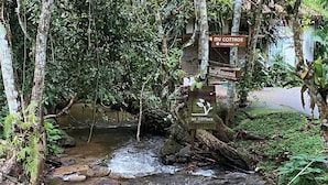 A hammock over a stream in a forested area with signs indicating 'MY COTTAGE' and 'HOME STAY'. - My Cottage Chiangmai (Mae On)