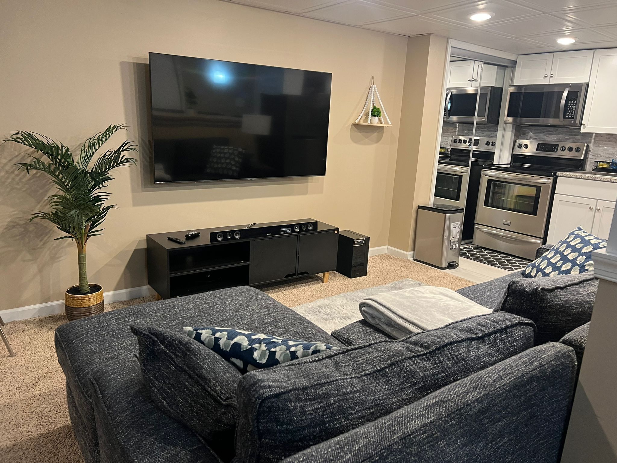 A living room with a flat-screen TV, a black entertainment unit, a grey sofa with patterned cushions, a potted plant, and a kitchen area with stainless steel appliances.