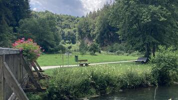 Ărea da propriedade