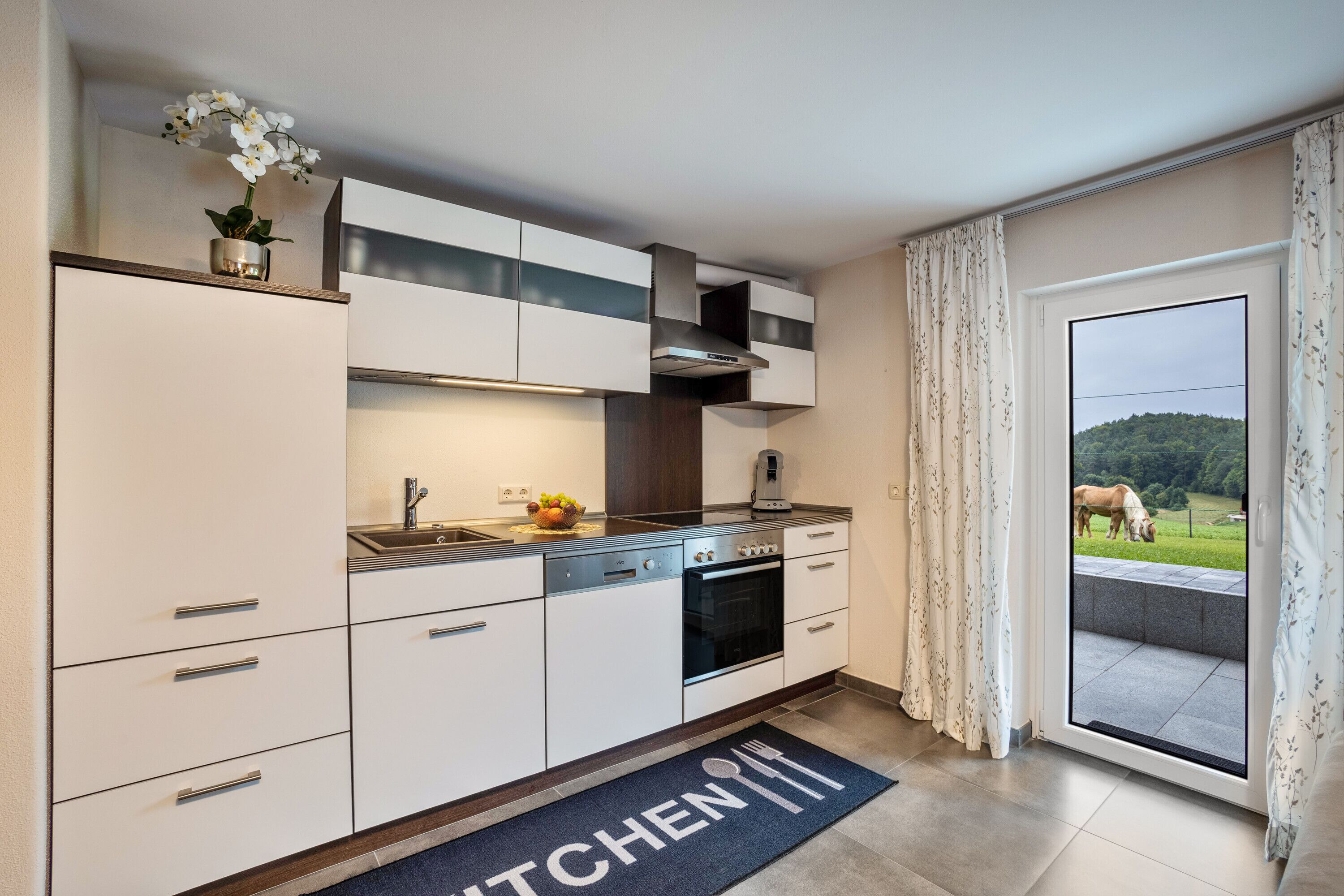 Fridge, oven, stovetop, dishwasher