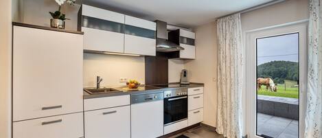 Fridge, oven, stovetop, dishwasher