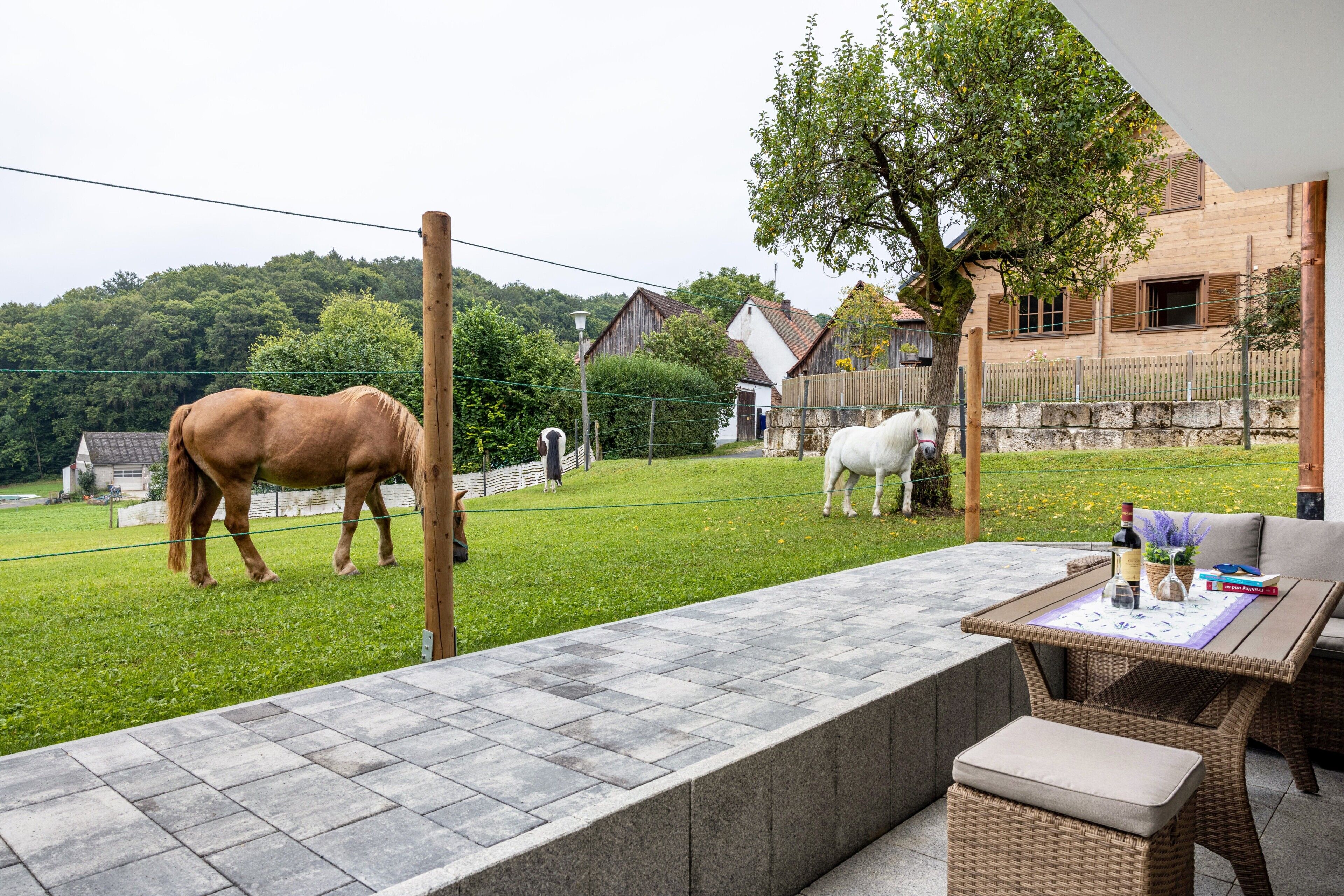 A patio area with a table and chairs, a white horse, and a brown horse in the background.