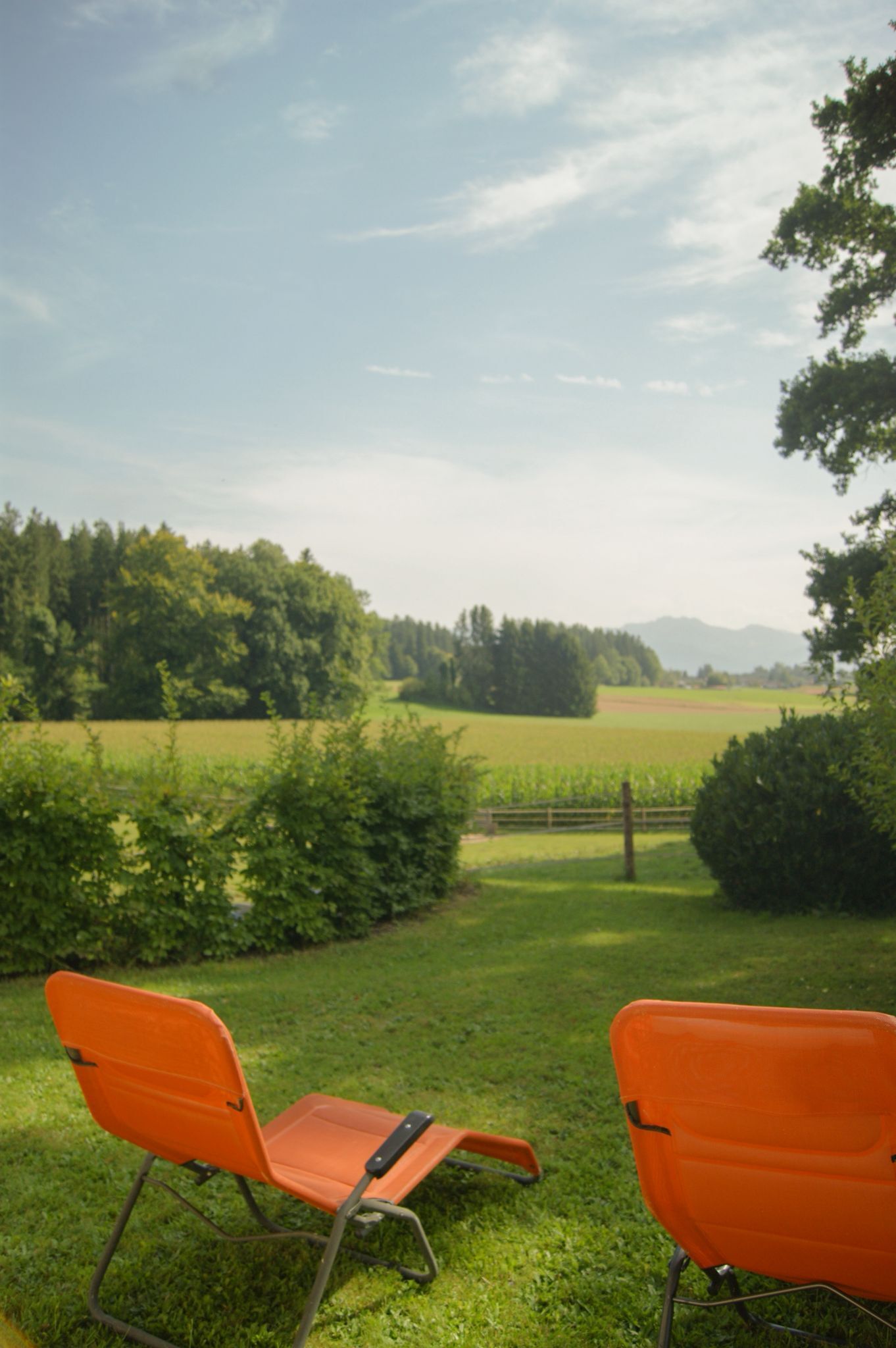 Two orange chairs in a grassy outdoor area with a view of a field and trees in the background.