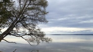 A calm lake with a tree branch extending over the water, a sandy beach, and a cloudy sky.