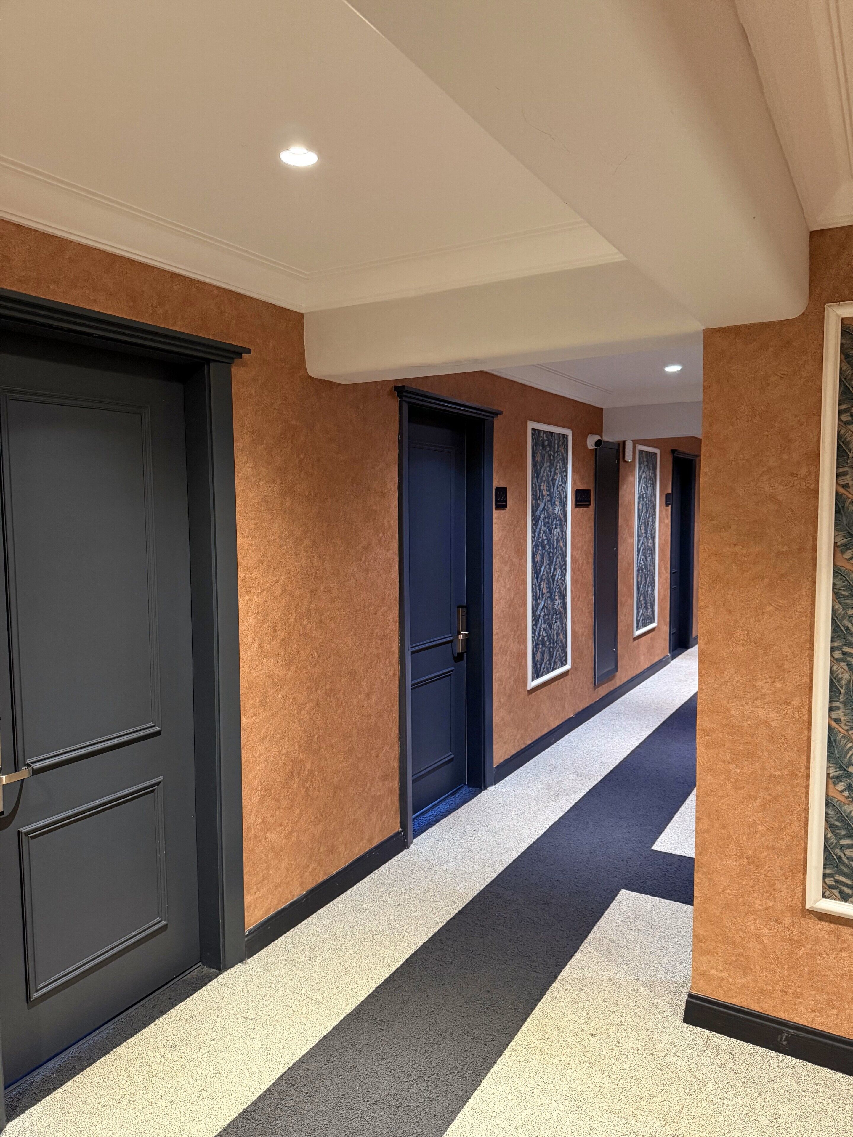 A hotel hallway with dark doors, a patterned wall, and a striped carpet.