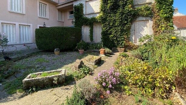 Un patio con un sendero de piedra, plantas en macetas y un seto.