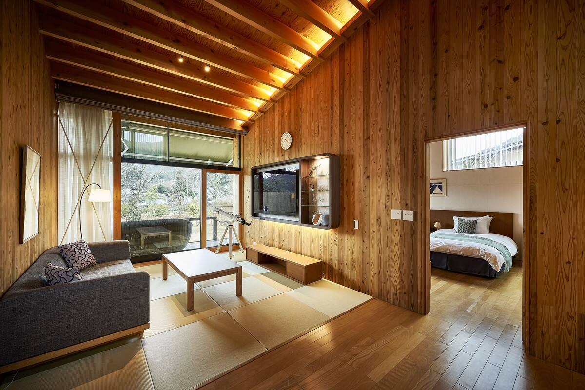 A modern interior with wooden walls, a sofa, a TV, and a bed.