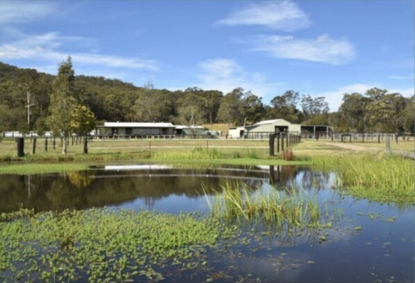 A rural setting with a pond, grassy areas, and buildings in the background.
