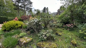 A garden with various plants and trees, a stone pathway, and a building in the background. - Lurg Lodge (Inverurie)