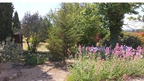 Property grounds - Maison Aix en Provence (Aix-en-Provence)