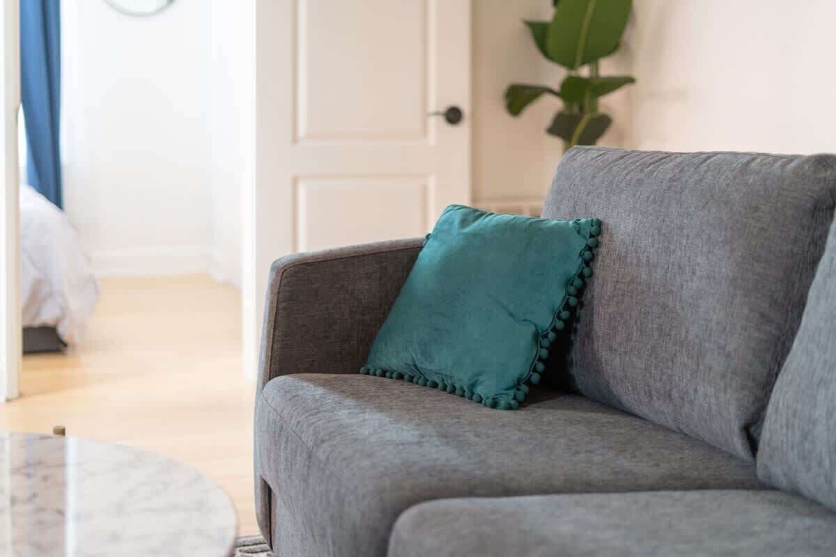 A grey sofa with a teal pillow, a white door in the background, and a plant to the right.