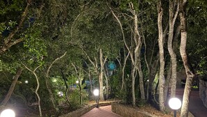 A paved pathway flanked by trees and illuminated by round lights, leading through a wooded area. - Villa Palmizi with private pool, 6 bedrooms, 8 bathrooms in the heart of Salento (Ruffano)
