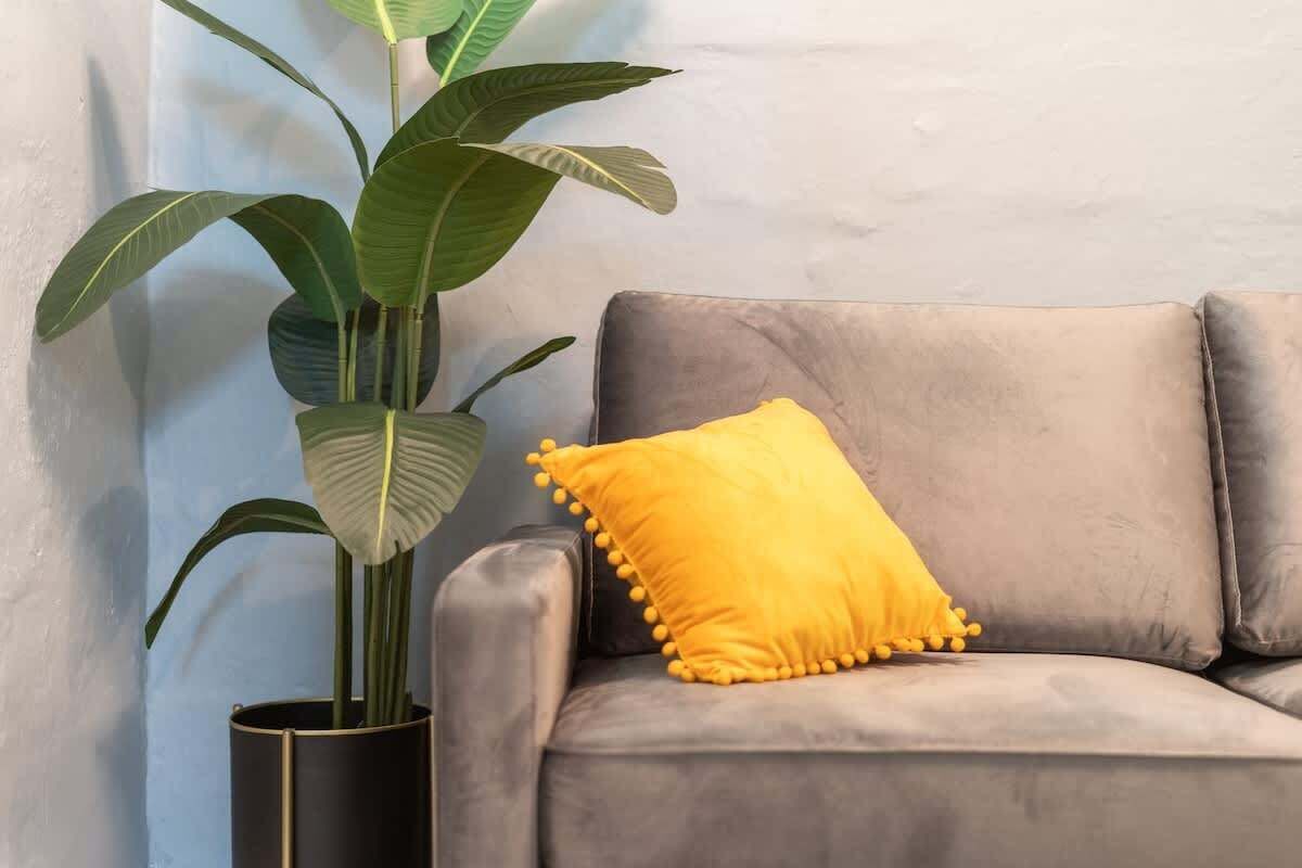 A grey sofa with a single yellow pillow and a large green plant in a black pot.
