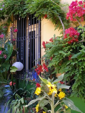 Studio | 1 bedroom - Living Like in a Cottage in the Center of Athens (Athens)