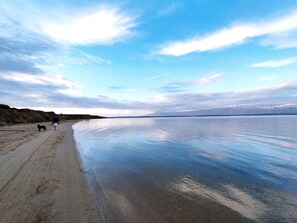 Walk along the shoreline with your pet and enjoy the tranquil atmosphere of this serene beach.