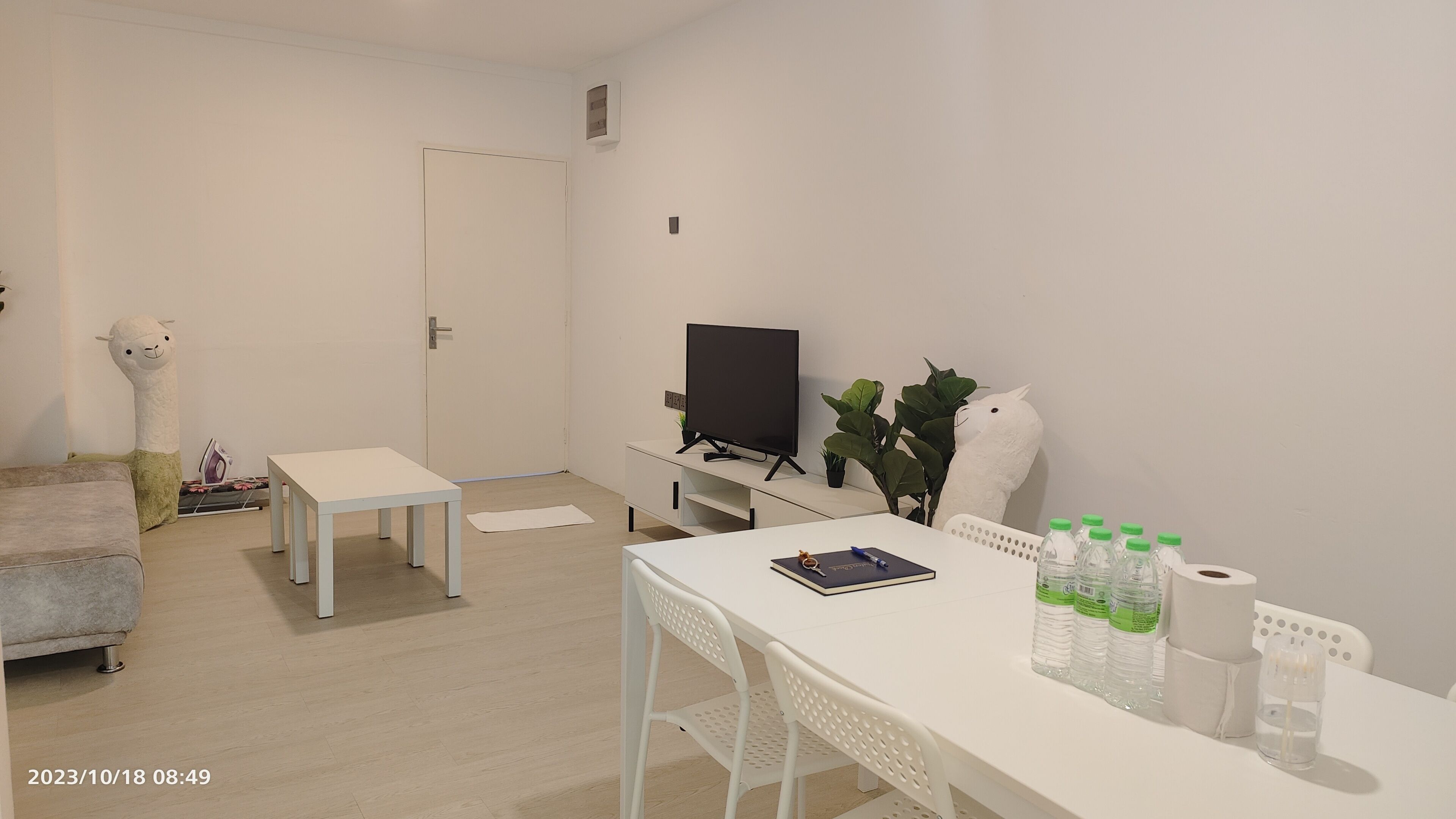 Una sala de estar moderna y minimalista con un sofá blanco, una mesita pequeña, un televisor sobre un mueble bajo y algunas plantas en macetas.