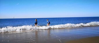 Neu Renoviertes Chalet in Den Osse, Browershaven, Zeeland