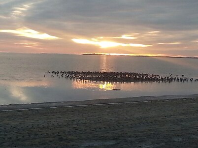 Neu Renoviertes Chalet in Den Osse, Browershaven, Zeeland