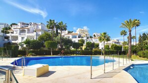 Una piscina amb aigua cristal·lina blava, envoltada d'una zona pavimentada i palmeres.