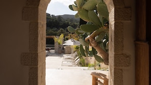 Un arco d'ingresso conduce a un patio con una pianta di cactus, una panca di legno e un tavolo con ombrellone.