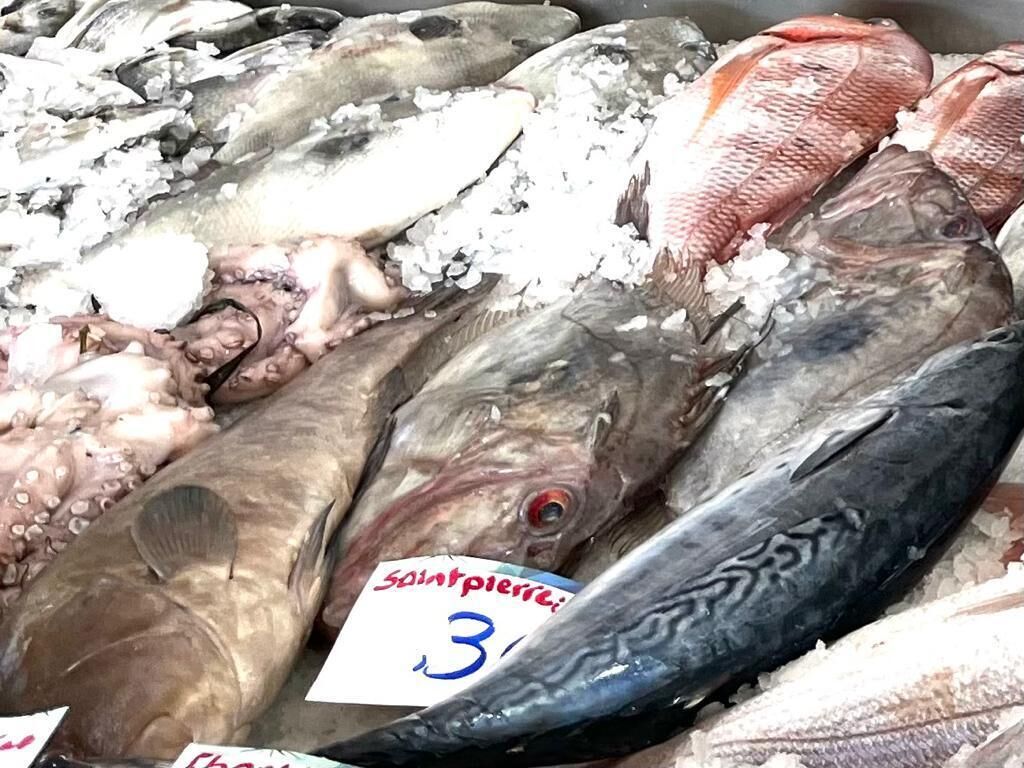 Variedad de pescado fresco exhibido sobre hielo, con etiquetas que indican nombres y precios.