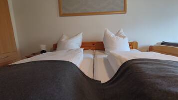 1 Schlafzimmer, BĂŒgeleisen/BĂŒgelbrett, WLAN, BettwĂ€sche