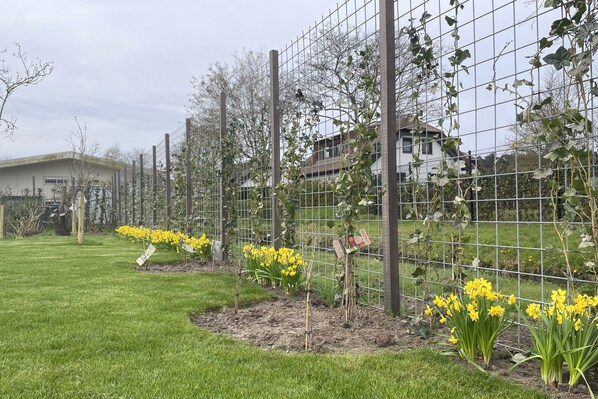 Property grounds - Marbrilliante, Prachtig Chalet met Ruime Tuin Voor 6 Personen (Noordwijk)