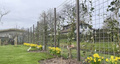 Marbrilliante, Prachtig Chalet met Ruime Tuin Voor 6 Personen