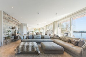 Smart TV, chimenea, libros y oficina 
