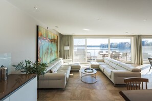 Smart TV, chimenea, libros y oficina 