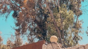 A stone wall with a wooden gate and a sign that reads 'Schnitz House Since 1884'. - Sphinx House (Giza)