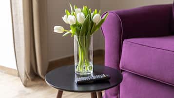 Deluxe Room | Free WiFi